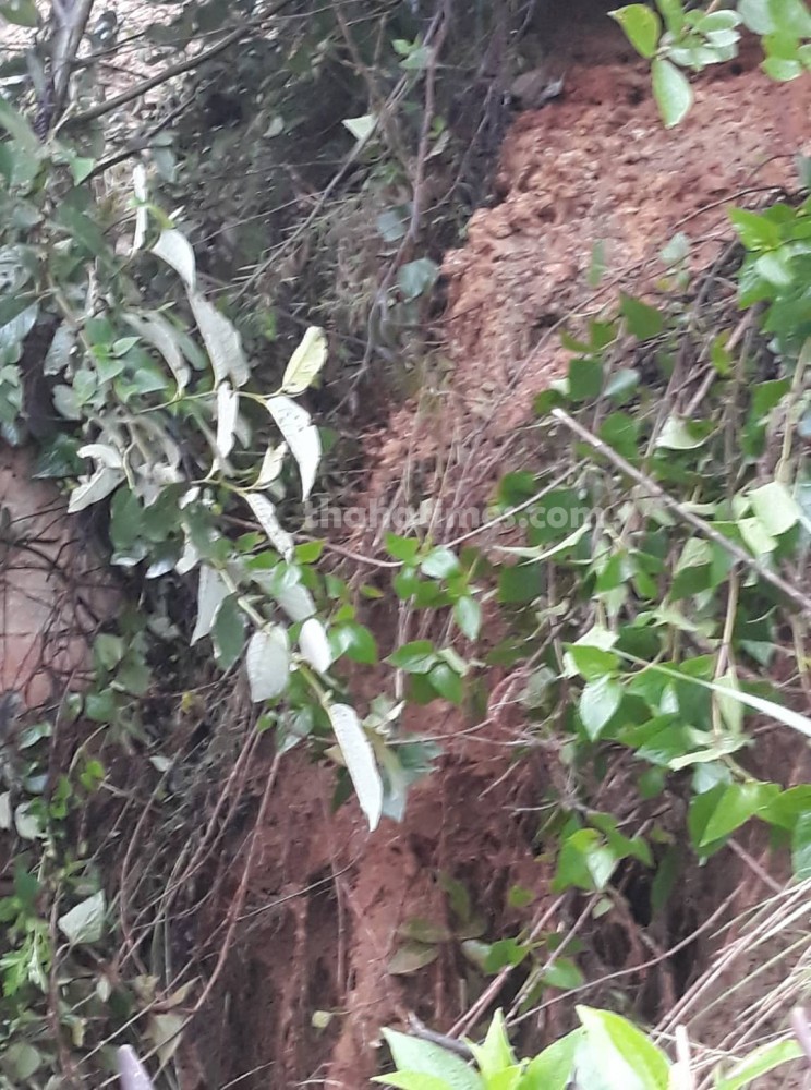 थाहा-१